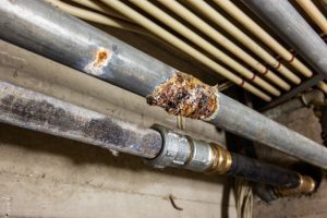 Why Your Plumber Uses Plumbing Smoke Testing